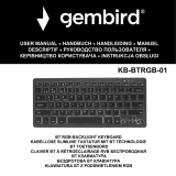 Gembird KB-BTRGB-01-DE Manual do proprietário