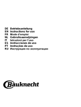 Bauknecht DBHBS 63 LL IX Guia de usuario