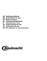 Bauknecht DBIBS 93 LB X Guia de usuario