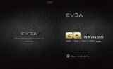 EVGA 210-GQ-0650-V1 Guia de usuario