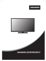 Grandin LD19CHD106 CI Manual do usuário