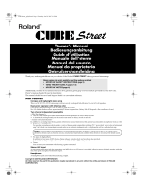 Roland CUBE STREET Manual do usuário