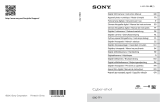 Sony Série Cyber-Shot DSC TF1 Manual do usuário