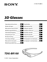 Sony TDG-BR100 Manual do usuário