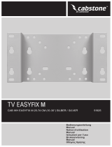 Wentronic Cabstone TV EasyFix M Guia de usuario