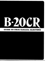 Yamaha B20CR Manual do proprietário