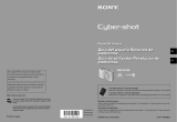 Sony Série Cyber Shot DSC-W100 Manual do usuário