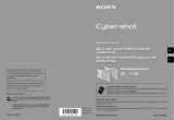 Sony Cyber Shot DSC-W30 Manual do usuário