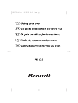 Brandt FE222BS1 Manual do proprietário