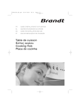 Groupe Brandt TE670XS1 Manual do proprietário
