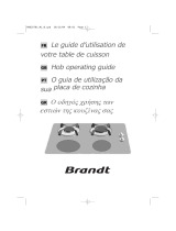 Groupe Brandt TI213BS1 Manual do proprietário
