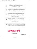 Brandt TV320BS1 Manual do proprietário