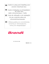 Brandt TV399XF1 Manual do proprietário