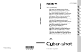 Sony Série DSC-S2100 Manual do usuário