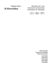 Electrolux EHG6400X Manual do usuário