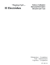 Electrolux ST29110 Manual do usuário