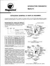 Magnetrol Pneumatic Switch-K Manual do usuário