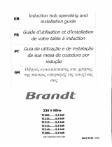 Brandt TI200BS1 Manual do proprietário