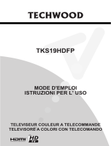 Teleco Televisore IB-TECHWOOD-TKS19HDFP Manual do usuário