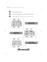 Brandt TE516XS1 Manual do proprietário