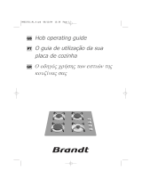 Brandt TG532BS1 Manual do proprietário
