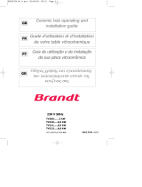 Groupe Brandt TV210BT1 Manual do proprietário