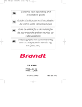 Brandt TV252XT1 Manual do proprietário
