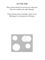 Aeg-Electrolux 67170K-MN48F Manual do usuário