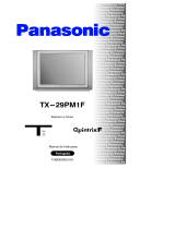 Panasonic TX29PM1F Instruções de operação