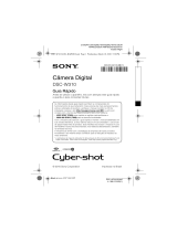 Sony DSC-W310 Guia rápido