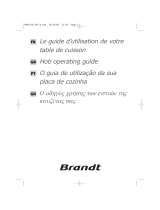 Groupe Brandt TE318XU1 Manual do proprietário