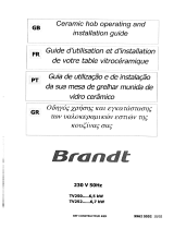 Groupe Brandt TV252XT1 Manual do proprietário