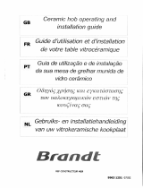 Brandt TV320BS1 Manual do proprietário