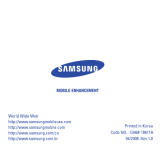 Samsung WEP301 Silver Manual do usuário