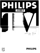 Philips 29PT5300 Manual do usuário