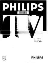 Philips 21aa3356 Manual do usuário