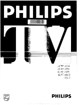 Philips 21PT134B Manual do usuário