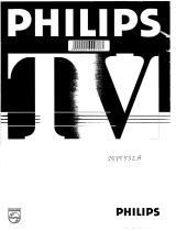Philips 25PT532A Manual do usuário