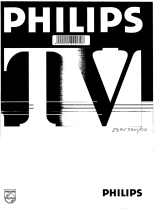 Philips 29PT5300 Manual do usuário