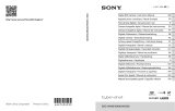 Sony DSC-WX200 Manual do usuário