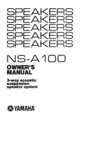 Yamaha NS-A100 Manual do proprietário