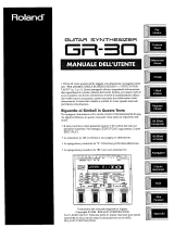 Roland GR-30 Manual do usuário