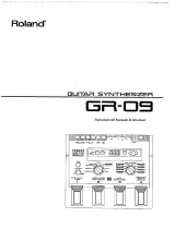 Roland GR-09 Manual do usuário