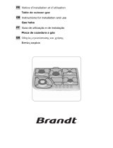 Brandt TE576XS1 Manual do proprietário