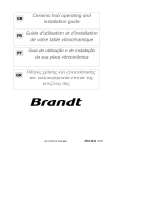 Brandt TV310BT1 Manual do proprietário