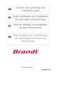 Brandt TV321BT1 Manual do proprietário