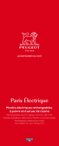 Peugeot 228024 Manual do usuário